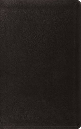 Value Thinline Bible-ESV- Imitation Leather