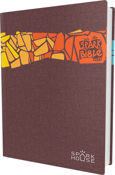 Spark Bible NRSV Gift Edition