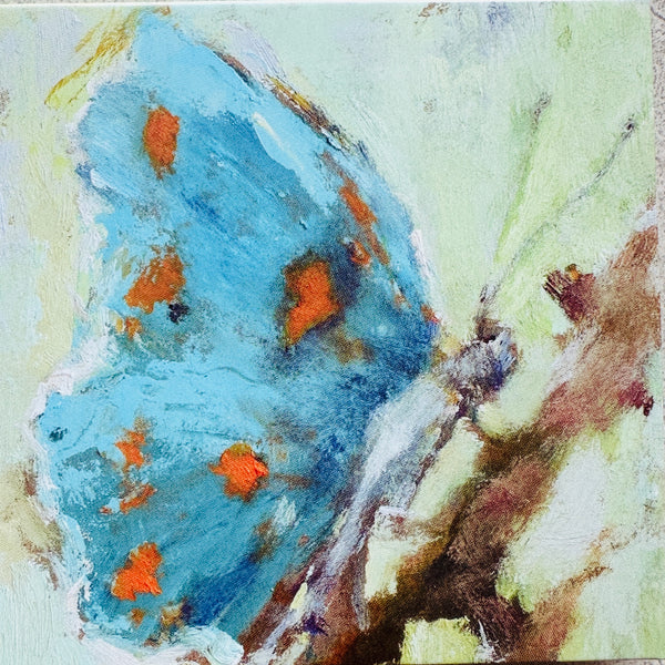 Anne Neilson Home Butterfly enclosure card