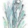 Credo Designs All Nature Birthday Greeting Card (Versed)-SKU C154A