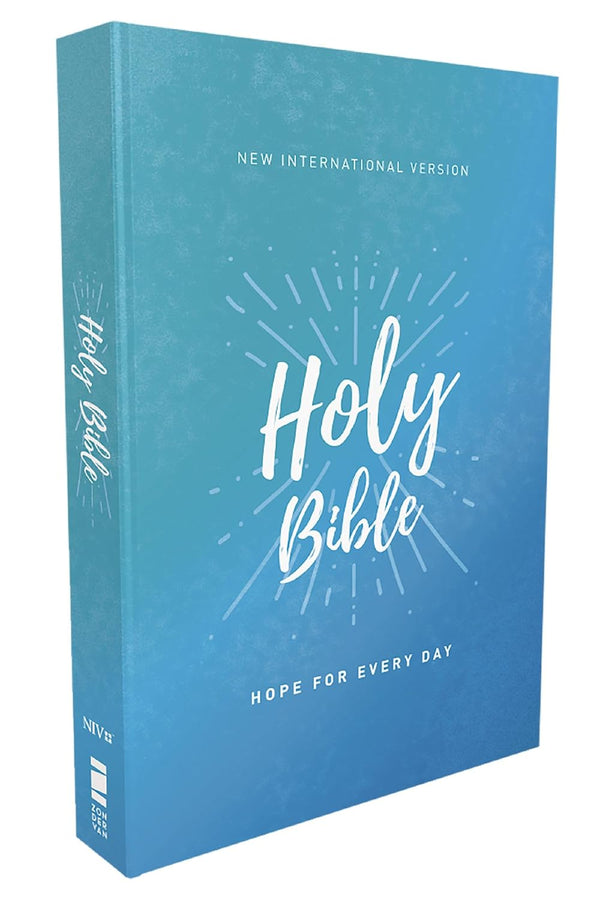 NIV Economy Bible softcover