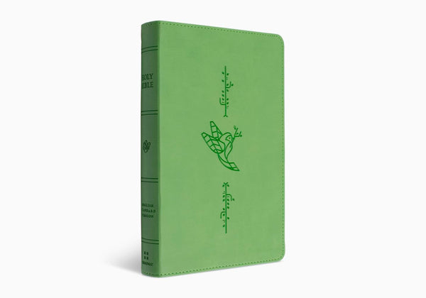 ESV Kid's Bible, Thinline, Red Letter, TruTone®, Bird of the Air Design